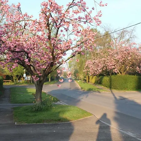 公寓 The Old Post Office Pretty Village 20min From 约克